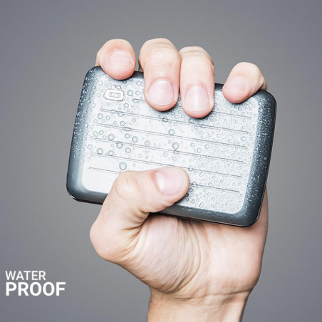 Ogon Stockholm V2 Card Holder Platinum