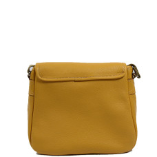 Berthille Sologne Crossbody Bag Golden