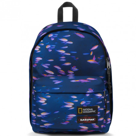 Eastpak Out Of Office National Geographic Backpack PC 15
