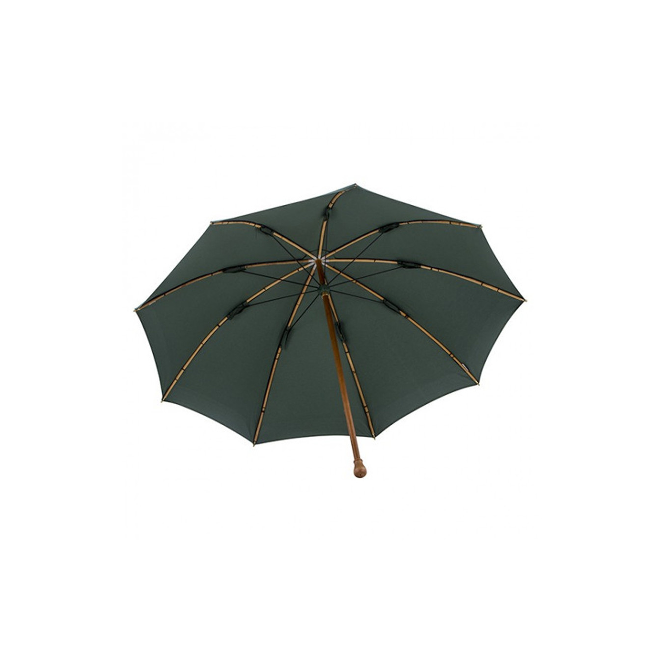 Piganiol Green Shepherd's Umbrella
