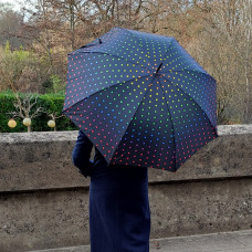 Happy Rain Automatic Umbrella for Women Rainbow Dots