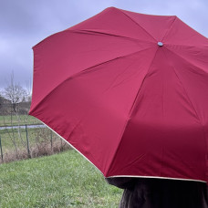 Piganiol x Arec Nut Folding Umbrella for Women Bordeaux / Gold Bias