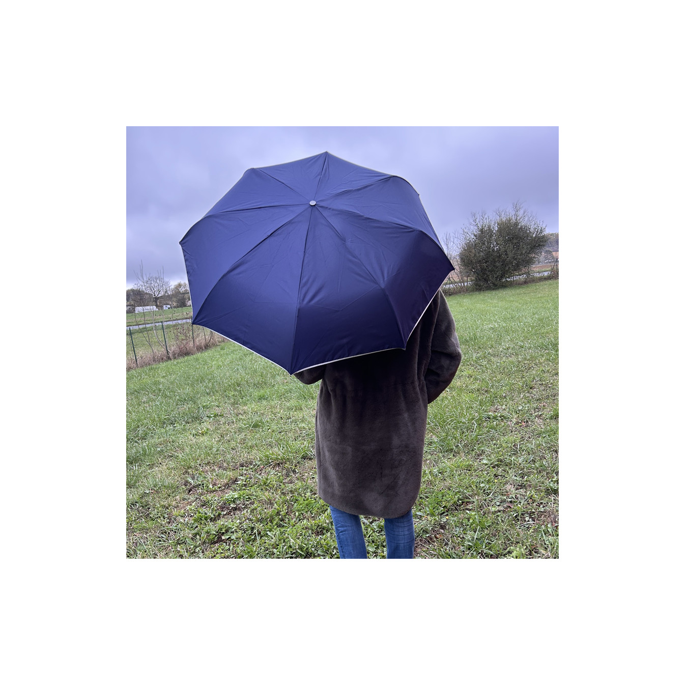 Piganiol x Noix D'arec Parapluie Pliant Pour Femme Marine / Biais Argenté