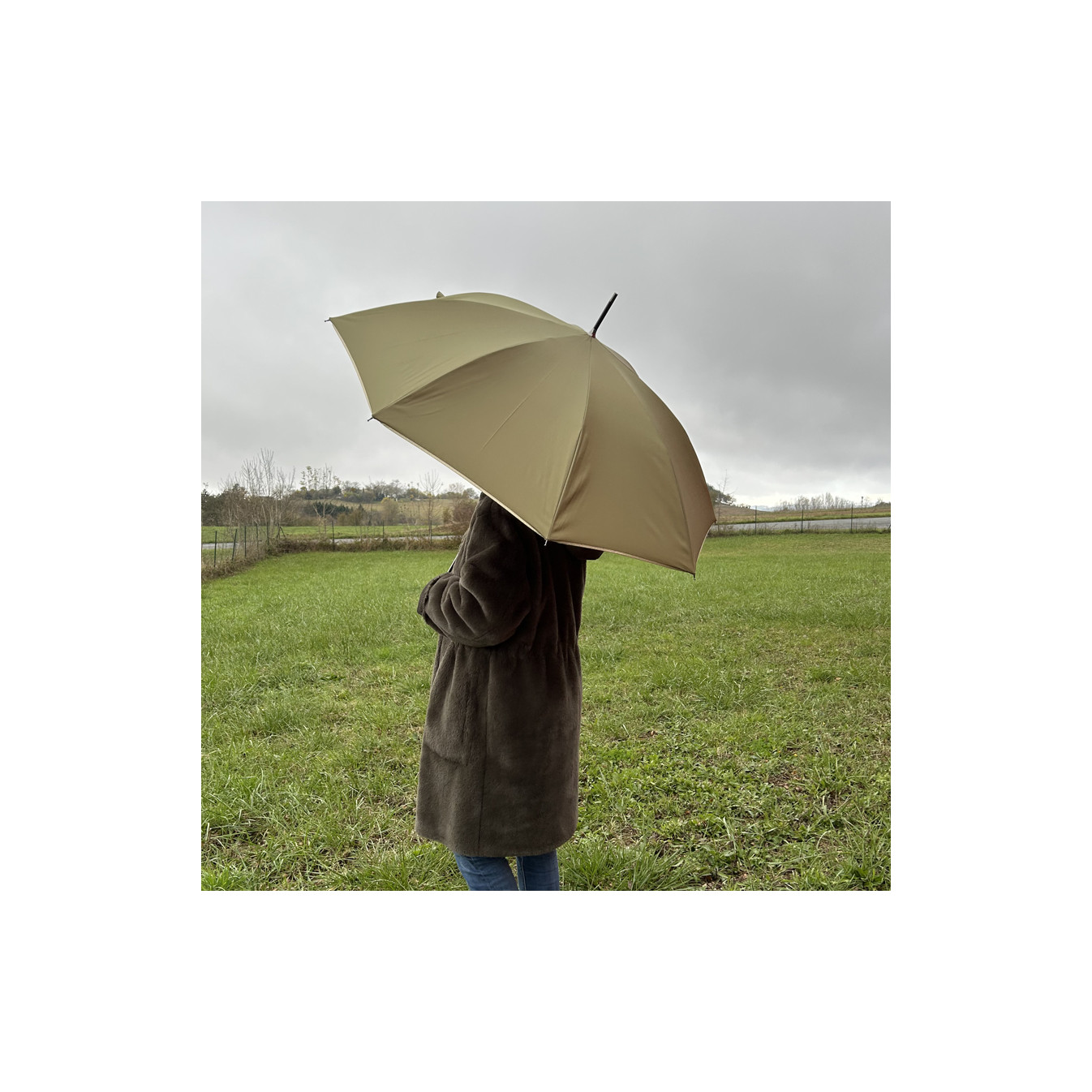 Piganiol x Areca Nut Umbrella Cane For Women Khaki / Gold Bias Tape