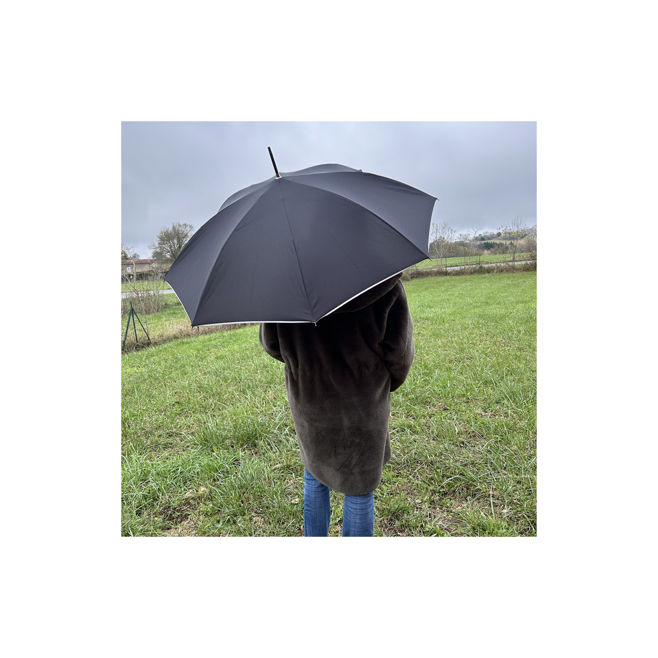 Piganiol x Areca Nut Umbrella Cane For Women Black / Silver Bias