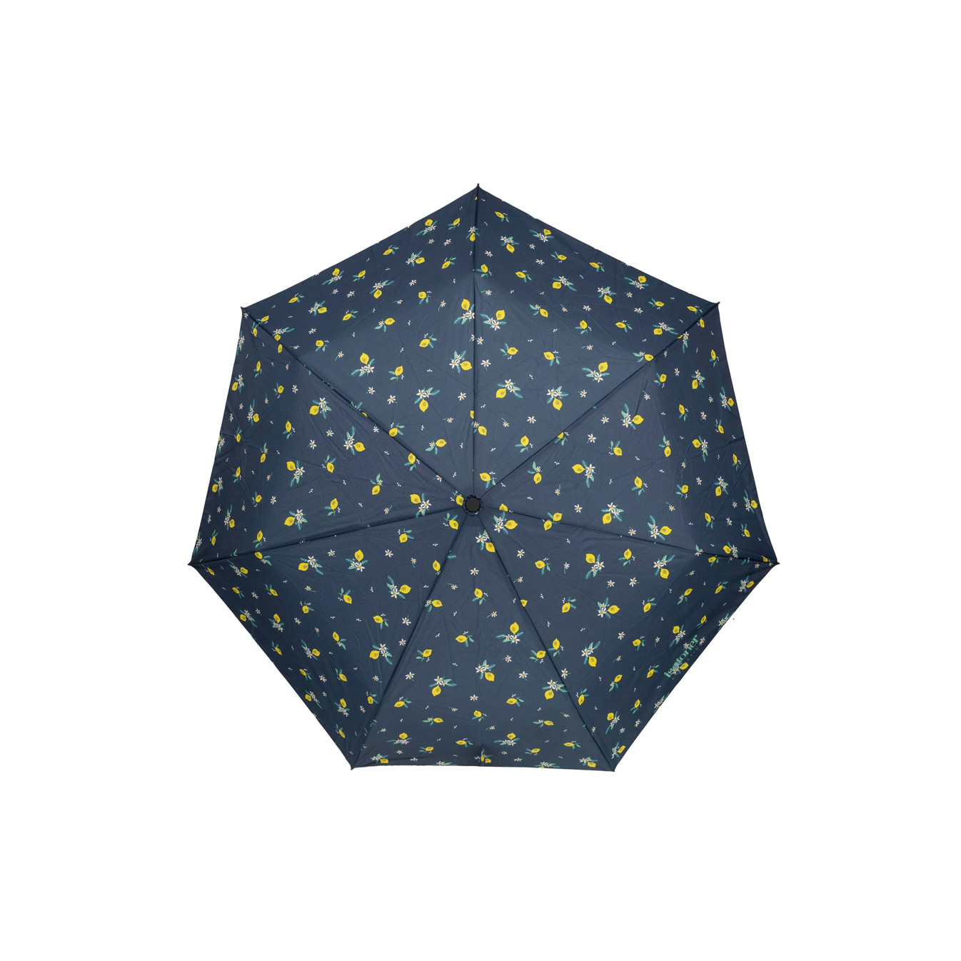 Isotoner Compact Automatic Umbrella Yellow Lemon
