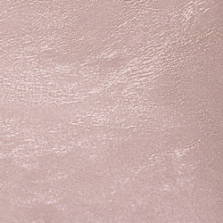 Scilla L Front Pouch for Bag