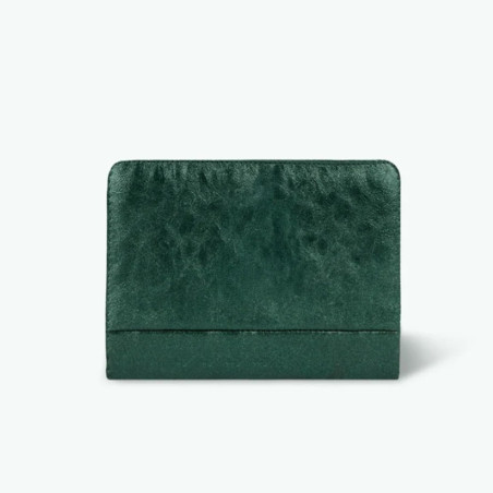 Cabaïa Wallet Medium Wallet and Companion Lucerne