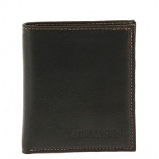 Arthur et Aston Louis Portecarte 94-702 Chataigne face